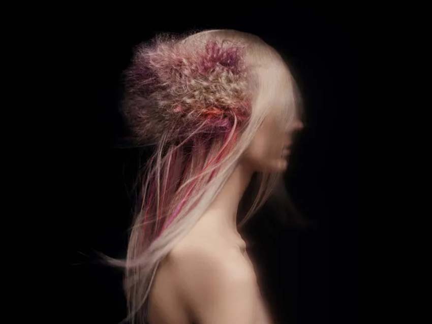 Haute Coiffure Française
