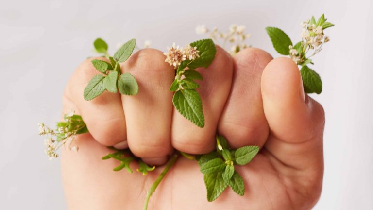 Programme L’Oréal pour le futur : solidarité et environnement !